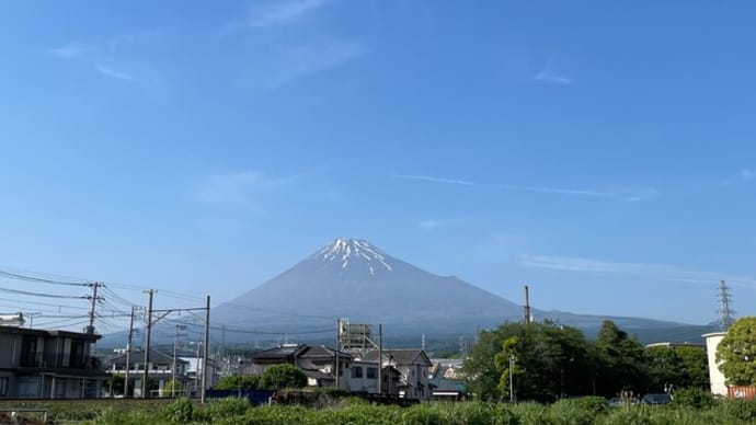 やっぱりカレーが好き