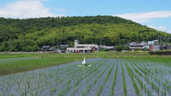 アヒルくんの除草機