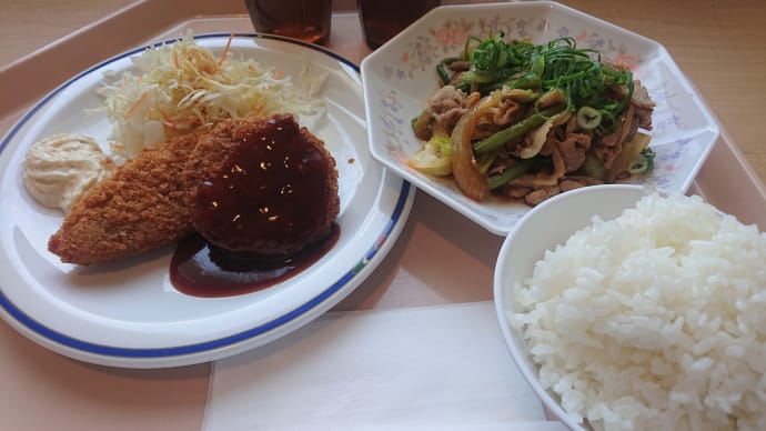 夜ご飯🌃🍴🍀