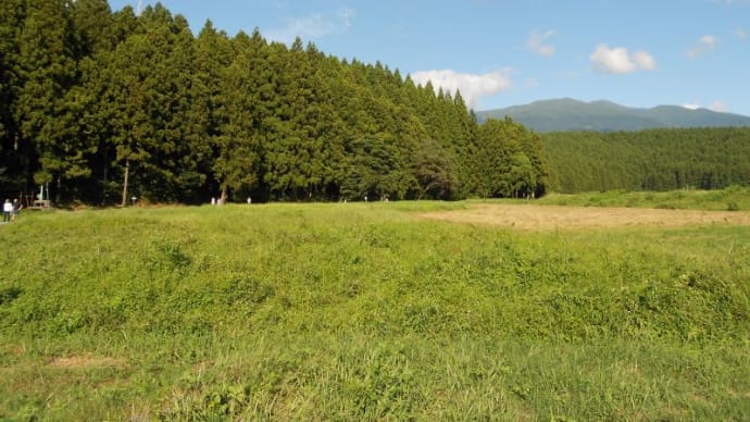 久々の丸池様