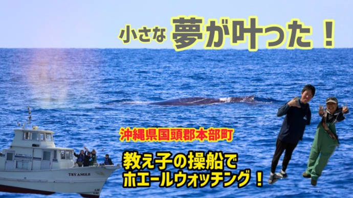 教え子の操船でホエールウォッチング🐋