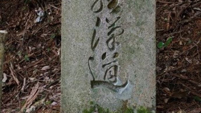 山の中に五百羅漢