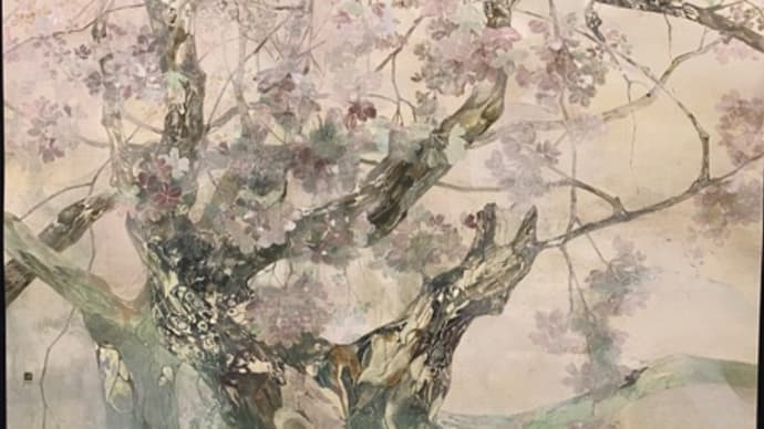 今日も美術館でお花見 目黒川の桜も見ました