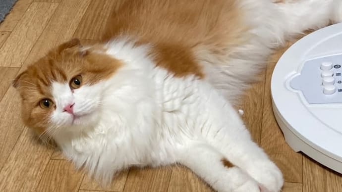 お前のものはオレのもの