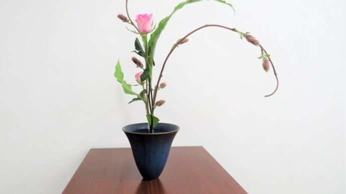 フジの生花・・蕾の時は、可愛い花が咲くフジと気が付かない