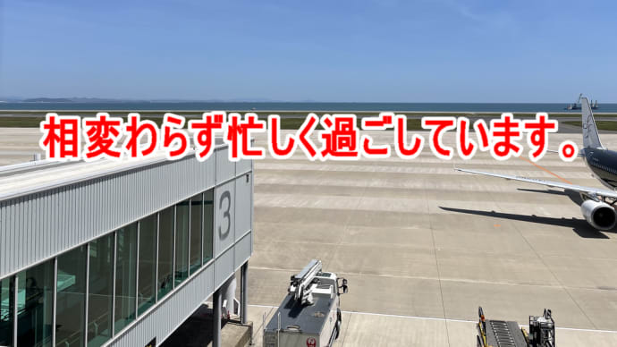 相変わらず忙しく過ごしています。