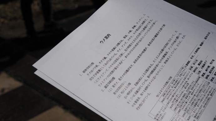 森林公園を楽しむNo35 梅の専門家ガイドに参加しました