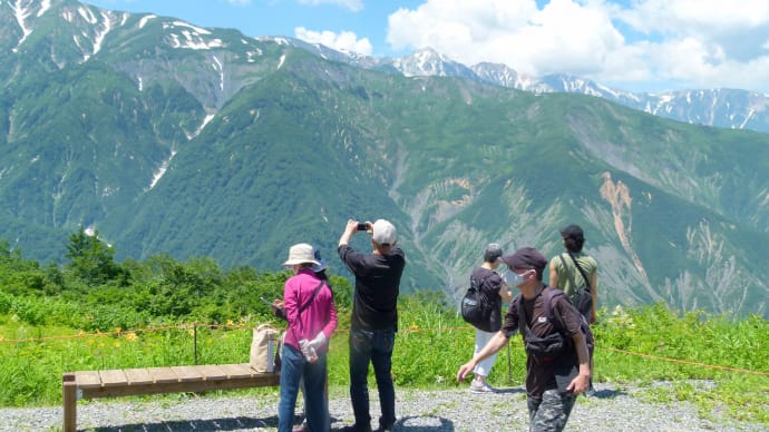 2021夏・・・白馬五竜高山植物園へ・・・終章・・・ヒマラヤに咲くという青い罌粟にサヨナラして山を下りる