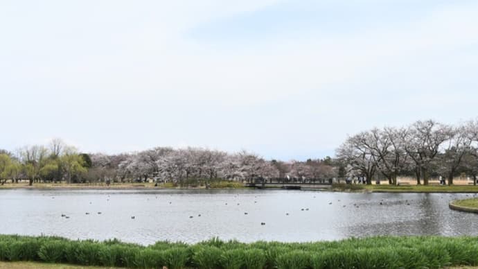 富山県中央植物園