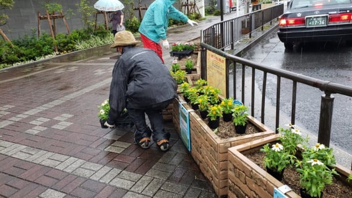 「栂・美木多駅前の花植え」