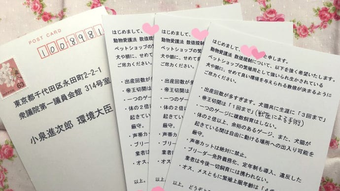 ハガキアクション☆動物愛護法 数値規制(加筆修正あり)