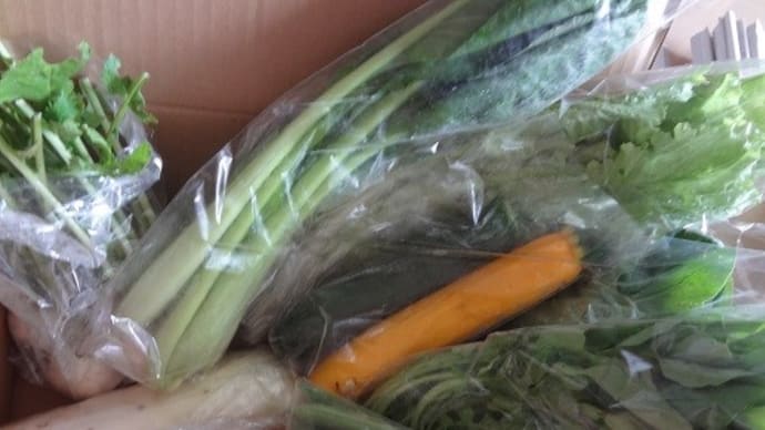 自然栽培の野菜届きました。長野・水輪から
