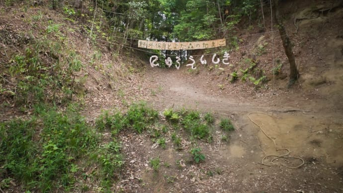入園式