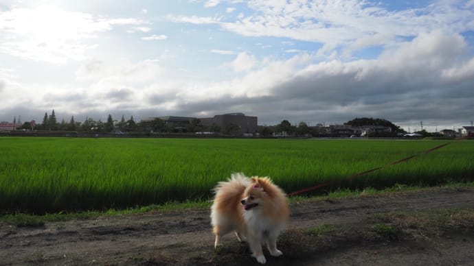 自然の恵みと自然の脅威