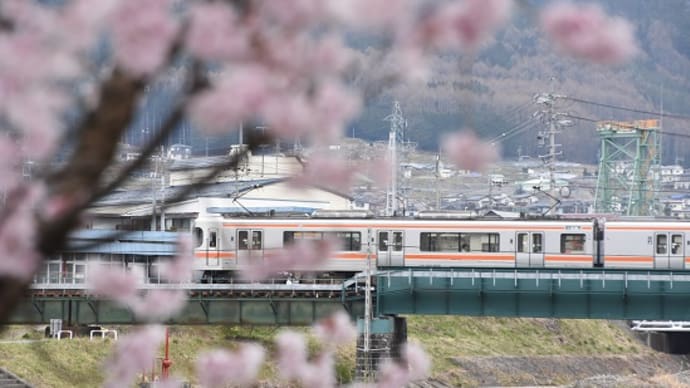 4月12日撮影　飯田線は横川川鉄橋と桜より