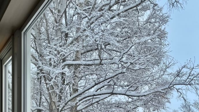 積雪後の朝