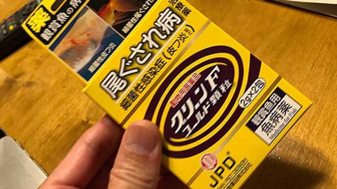 大敵・藍藻と悪戦苦闘・・・。