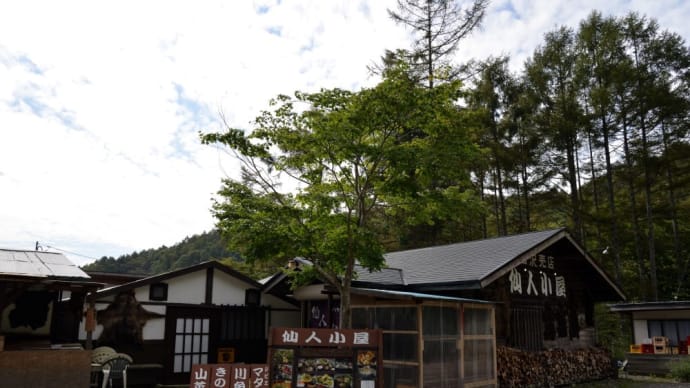 北杜市　仙人小屋　キノコ天ぷら定食、鮎の塩焼き