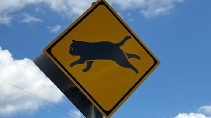 珍しい？「ネコ注意」動物注意の道路標識〔高知県四万十町〕