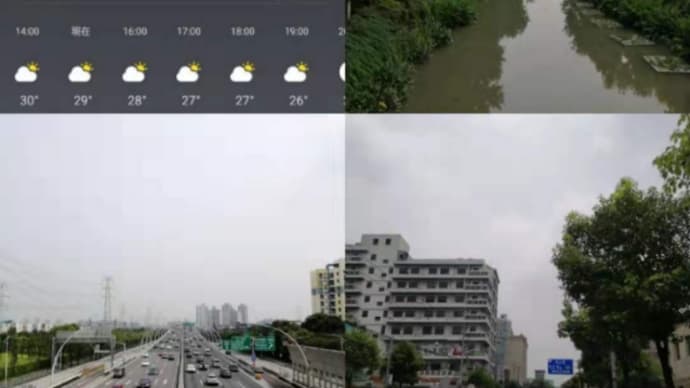 7月14日(月)やっぱガスリーの走りには不満が残る… #上海 #田中勝春 #マイスタイル #ガスリー #吉田沙保里