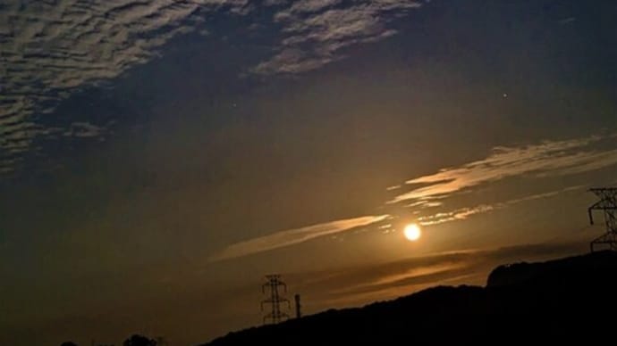 「今日の夜はストロベリームーン」