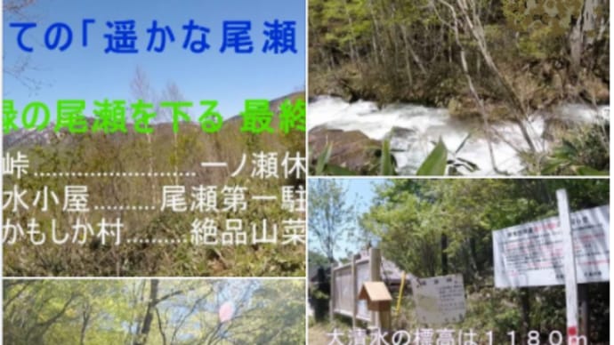 暖かくなったら計画しようかな『遥かな尾瀬』最上級ハイキング 🏃