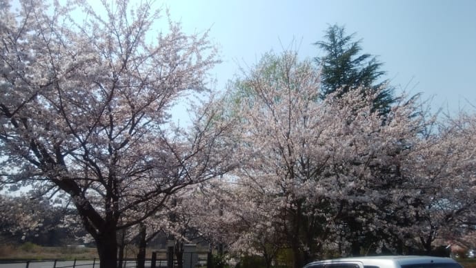 健康づくり!