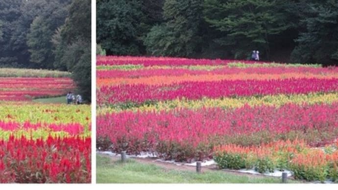 森林公園~23年9月1回目