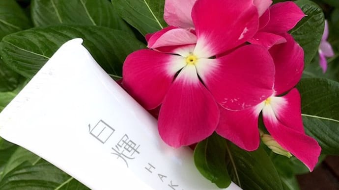 薬用 W美白ホワイトクリーム 白輝