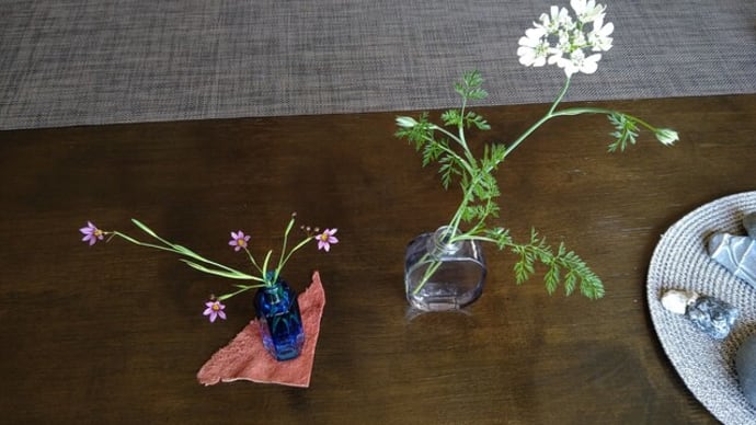 一輪挿しの花たち