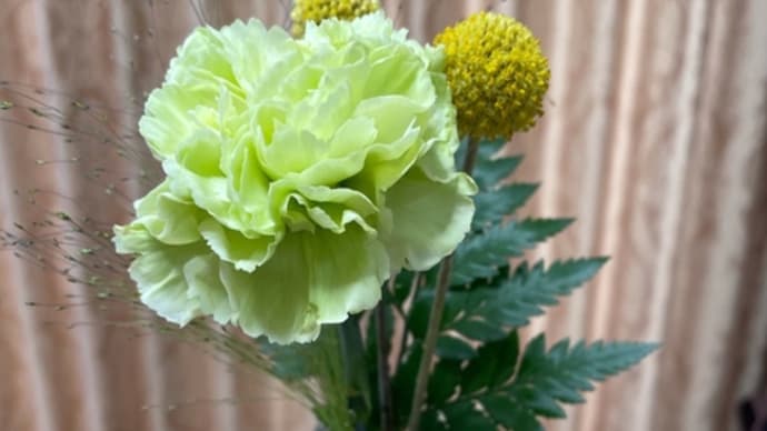 6月7日のお花♪