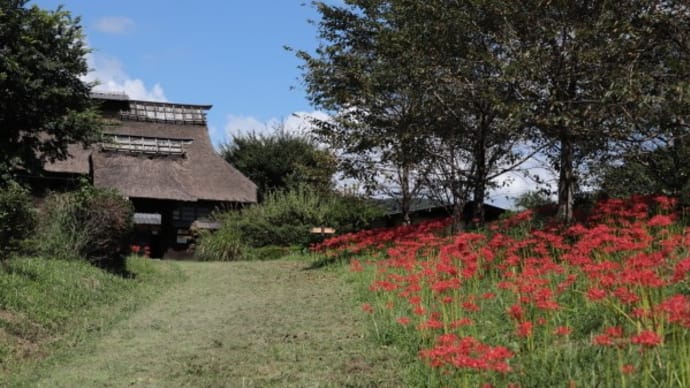 群馬昆虫の森の彼岸花2021