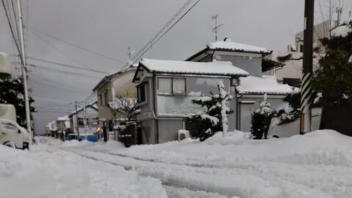 大雪です!