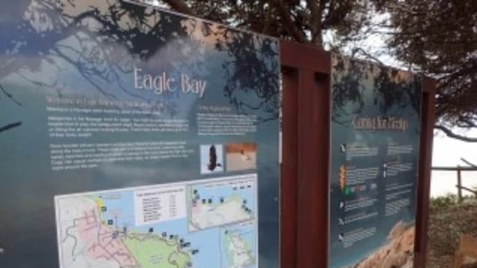 6日目-4 Eagle Bay・Cape Naturaliste灯台