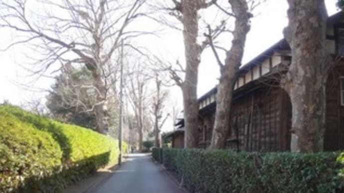鎌倉街道（13）