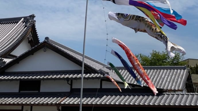 屋根より高い鯉のぼり