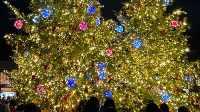 クリスマス 2024.12.24