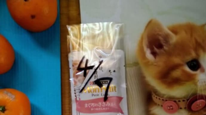 おそるべき『ねこのきもち』(「恐るべきさぬきうどん」へのオマージュです)