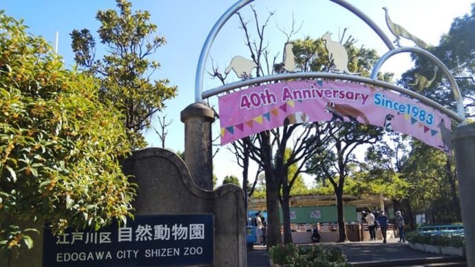 コウノトリ水浴び　動物園にて　小動物が可愛い