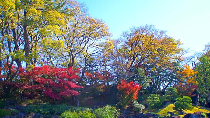 彩り豊かな紅葉山庭園の景色