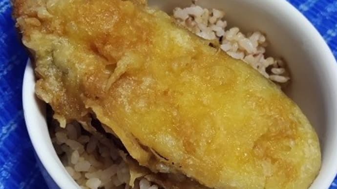 【04/16昼食】さつまいも天、谷町ぽん酢を掛けたんだね:D