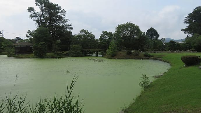 衆楽園(旧津山藩別邸庭園)まで朝散歩