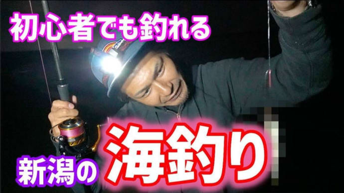 なにやら新潟で大量に魚が釣れている⁉︎『3桁超えも…』最近新潟釣り情報はコチラ!