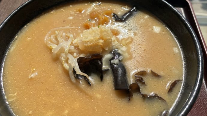 今日もクラゲラーメン