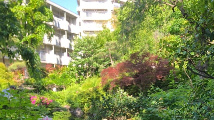 我が街 板橋区散歩 続きだよ〜🚶🚶♀️