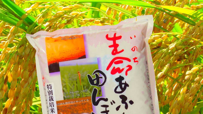美味!! 「生命あふれる田んぼのお米」