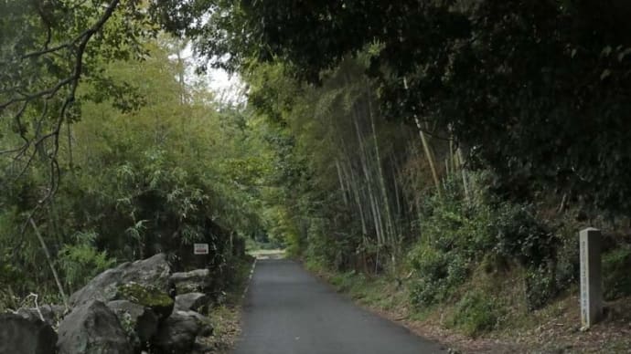 まち歩き (嵯峨野)