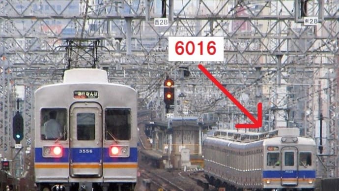 南海電鉄6000系6016と6905が大井川鐵道へ譲渡