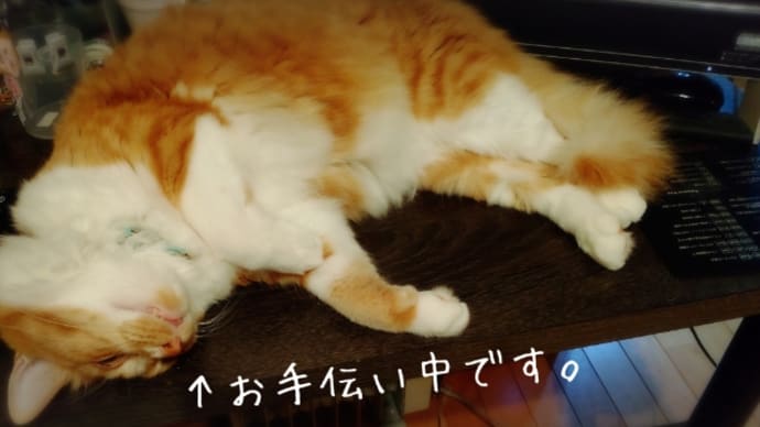 怖いのは他国じゃなく。