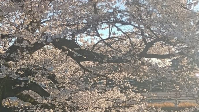春うらら